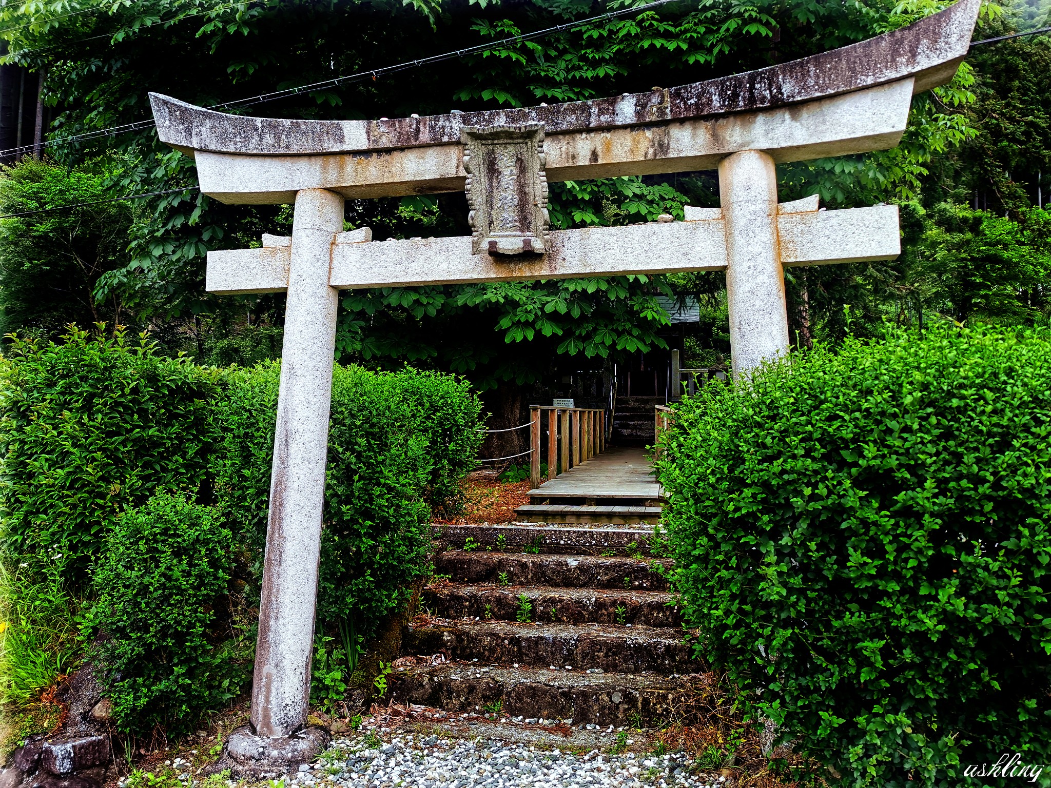 京都自助遊攻略