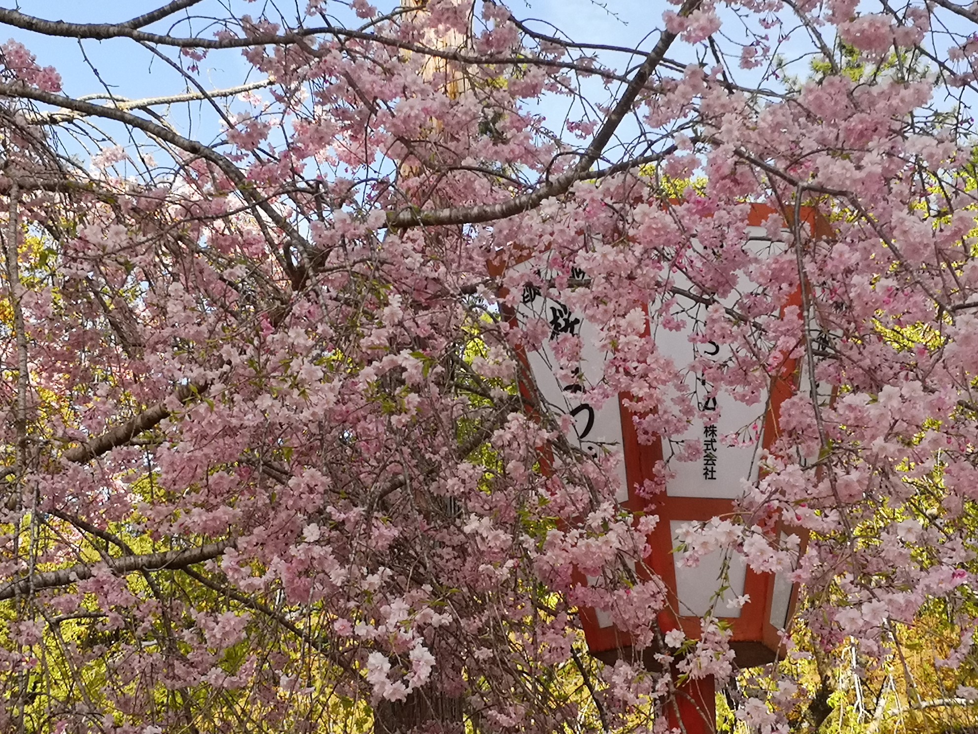 京都自助遊攻略