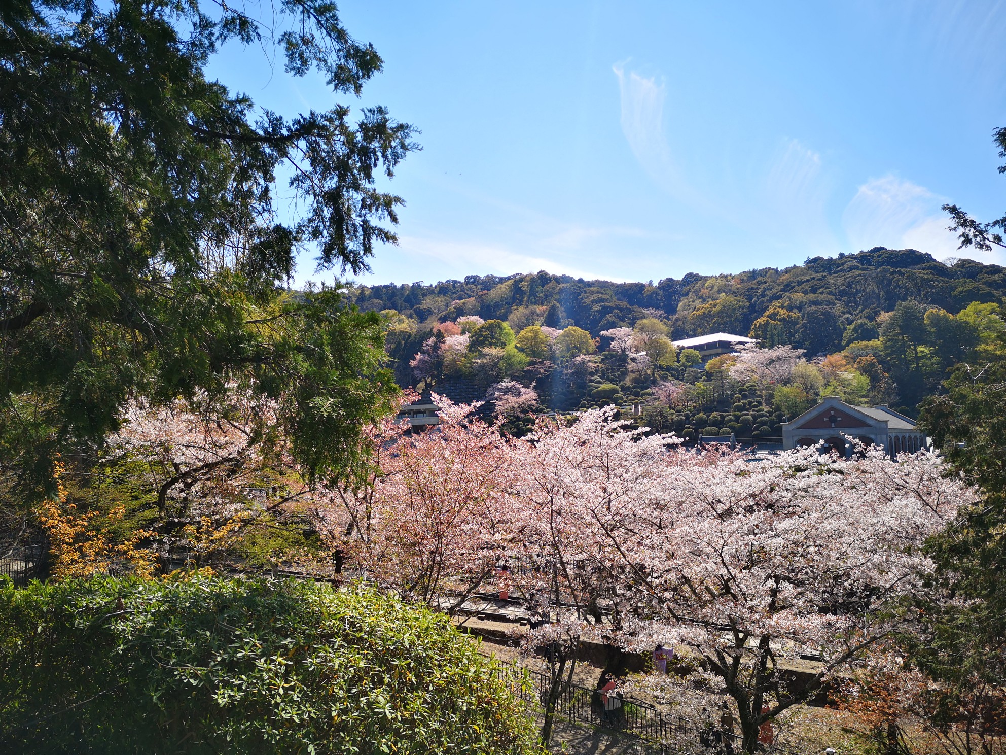 京都自助遊攻略