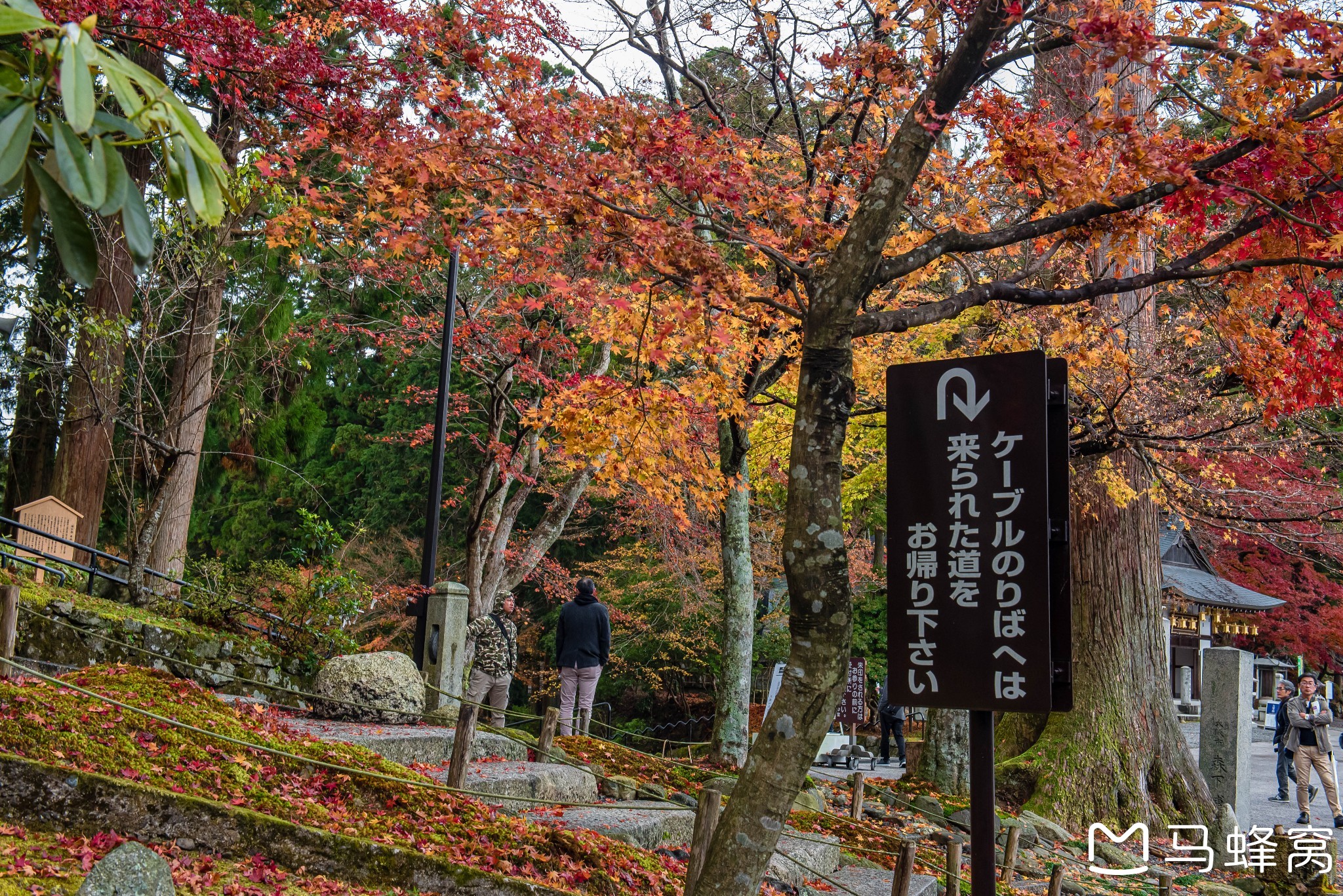 京都自助遊攻略