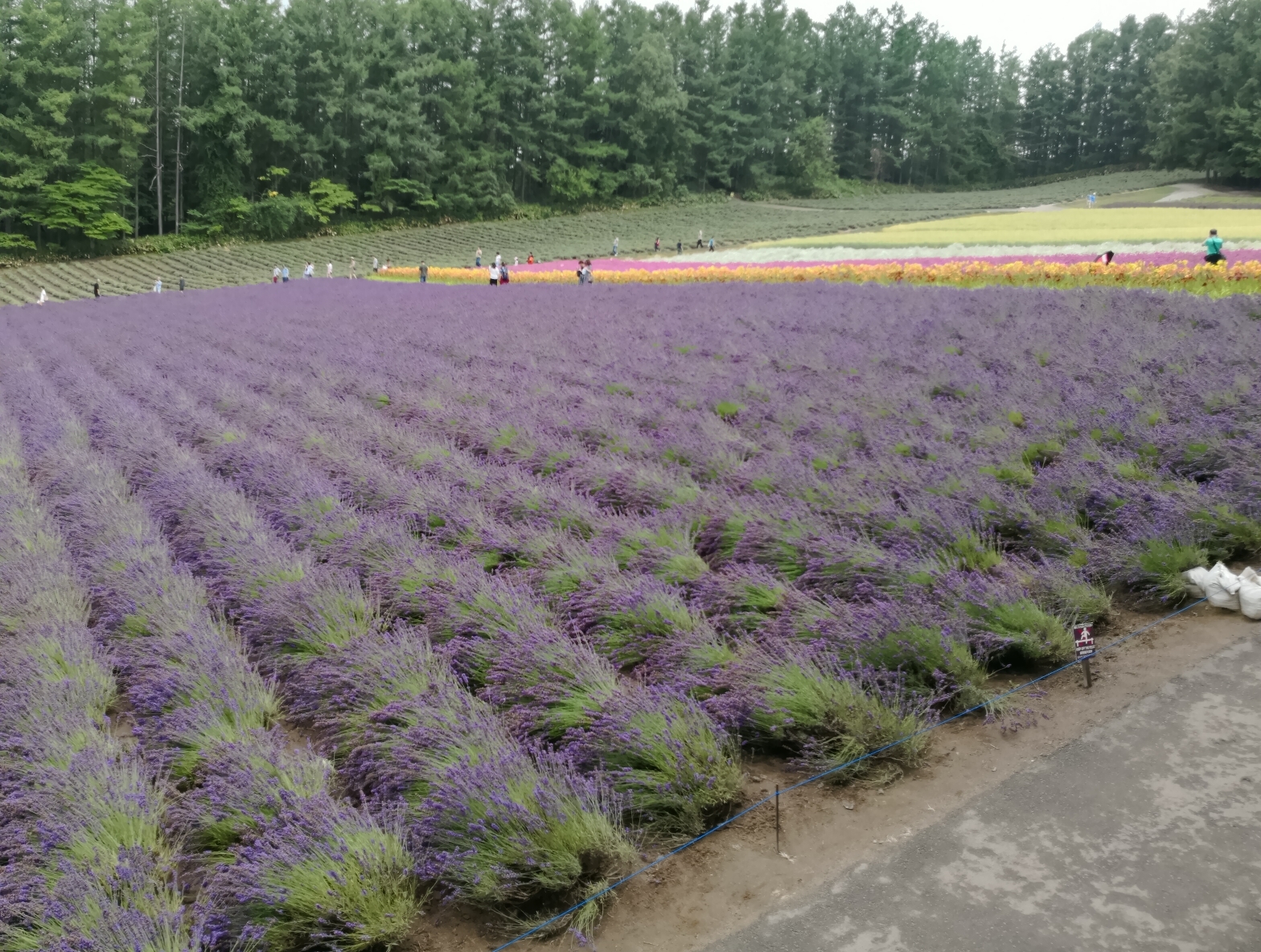 北海道自助遊攻略