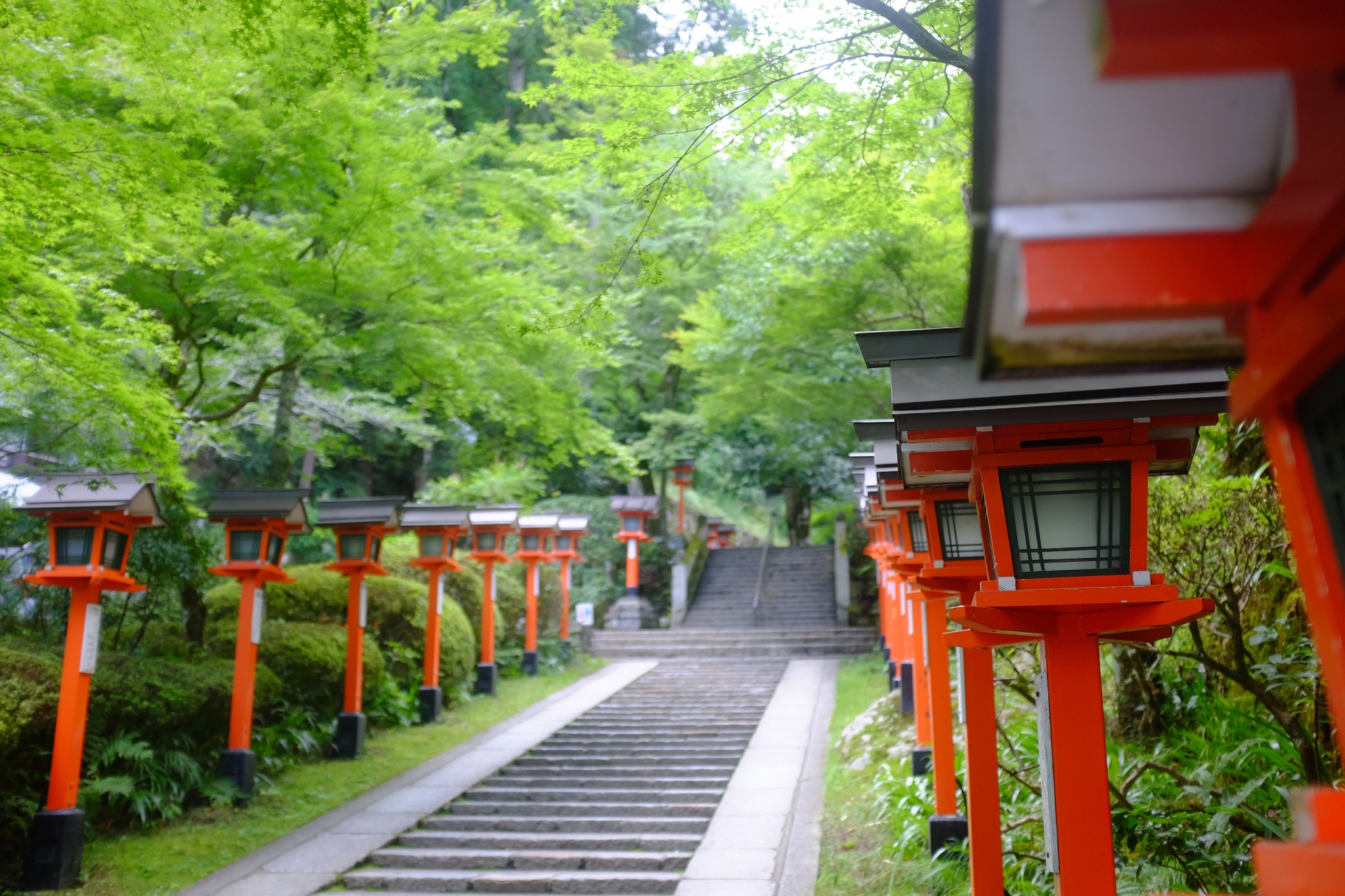 京都自助遊攻略