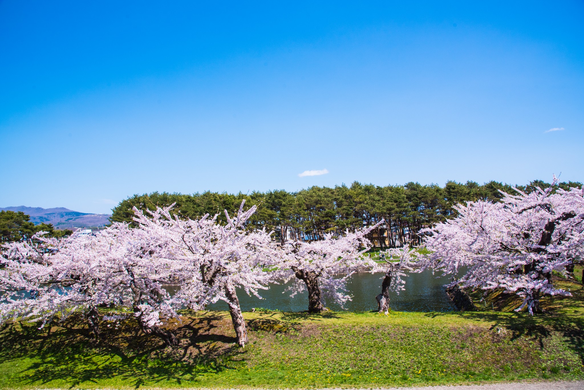 北海道自助遊攻略