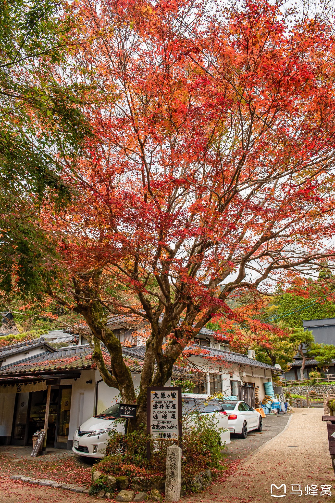 京都自助遊攻略