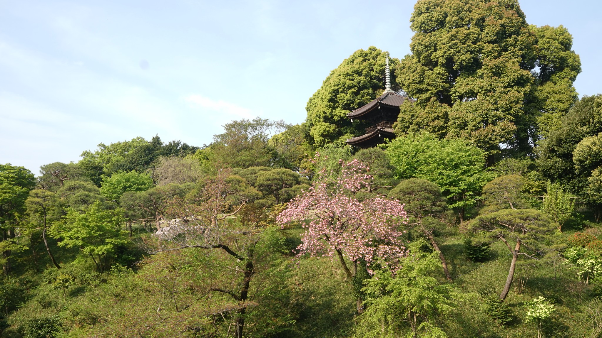 日本自助遊攻略