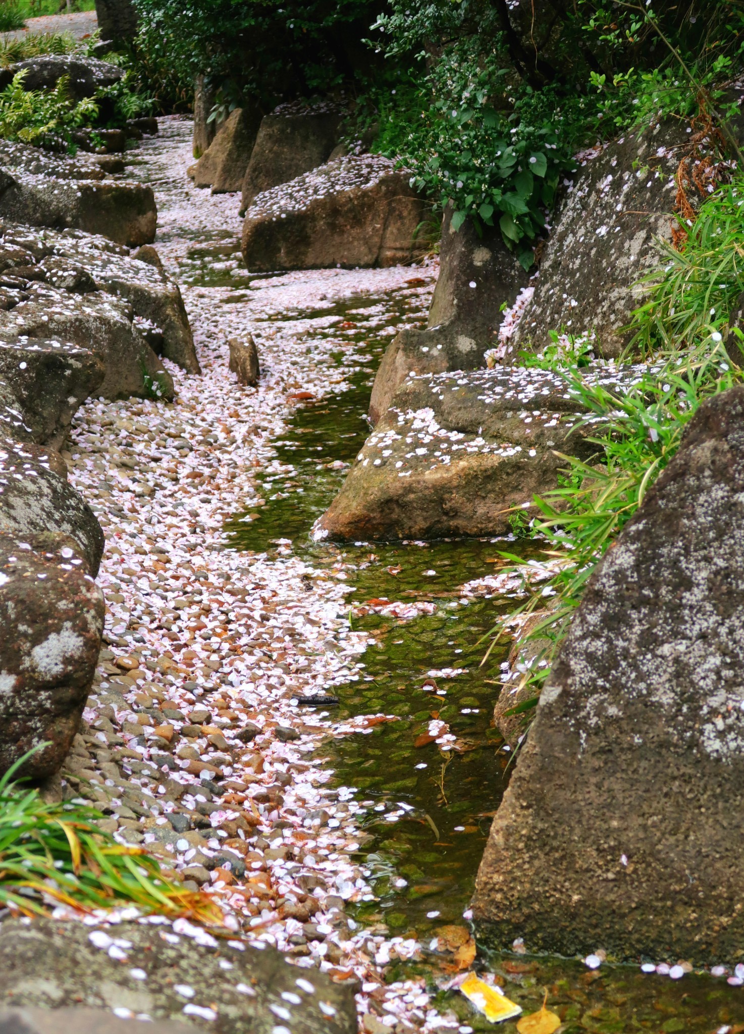 富士山自助遊攻略