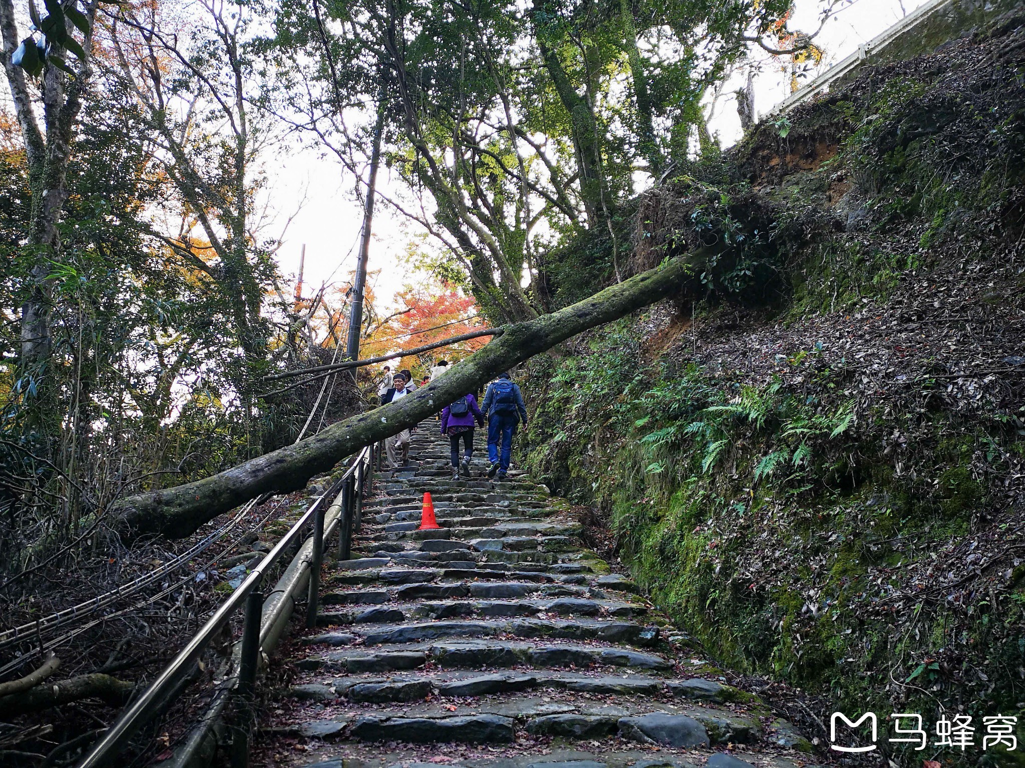 京都自助遊攻略