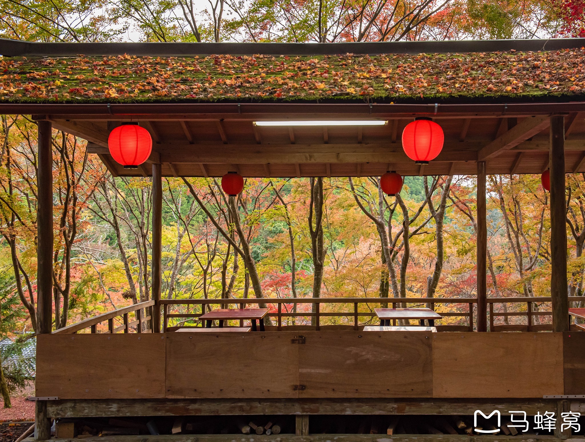 京都自助遊攻略