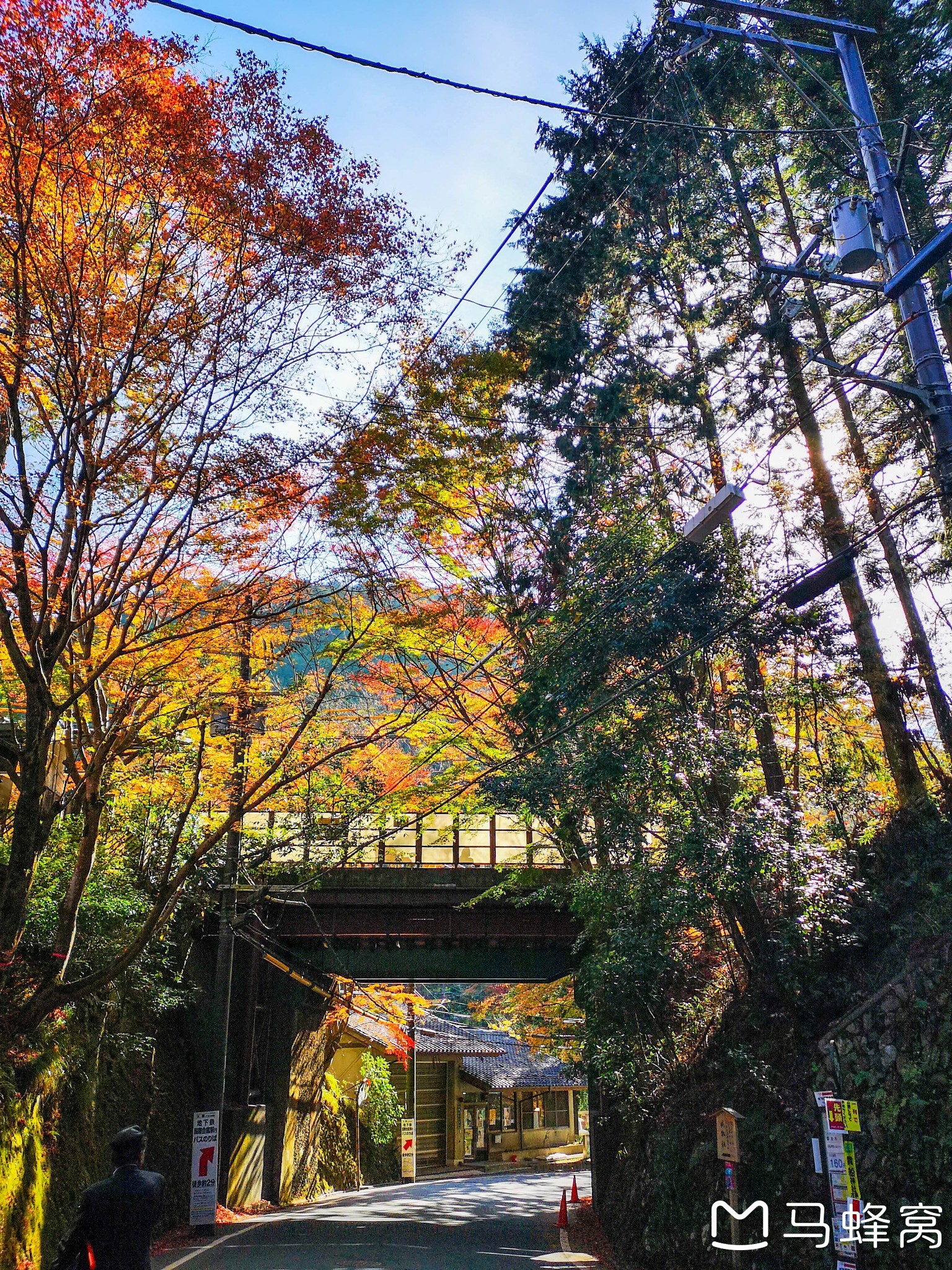 京都自助遊攻略