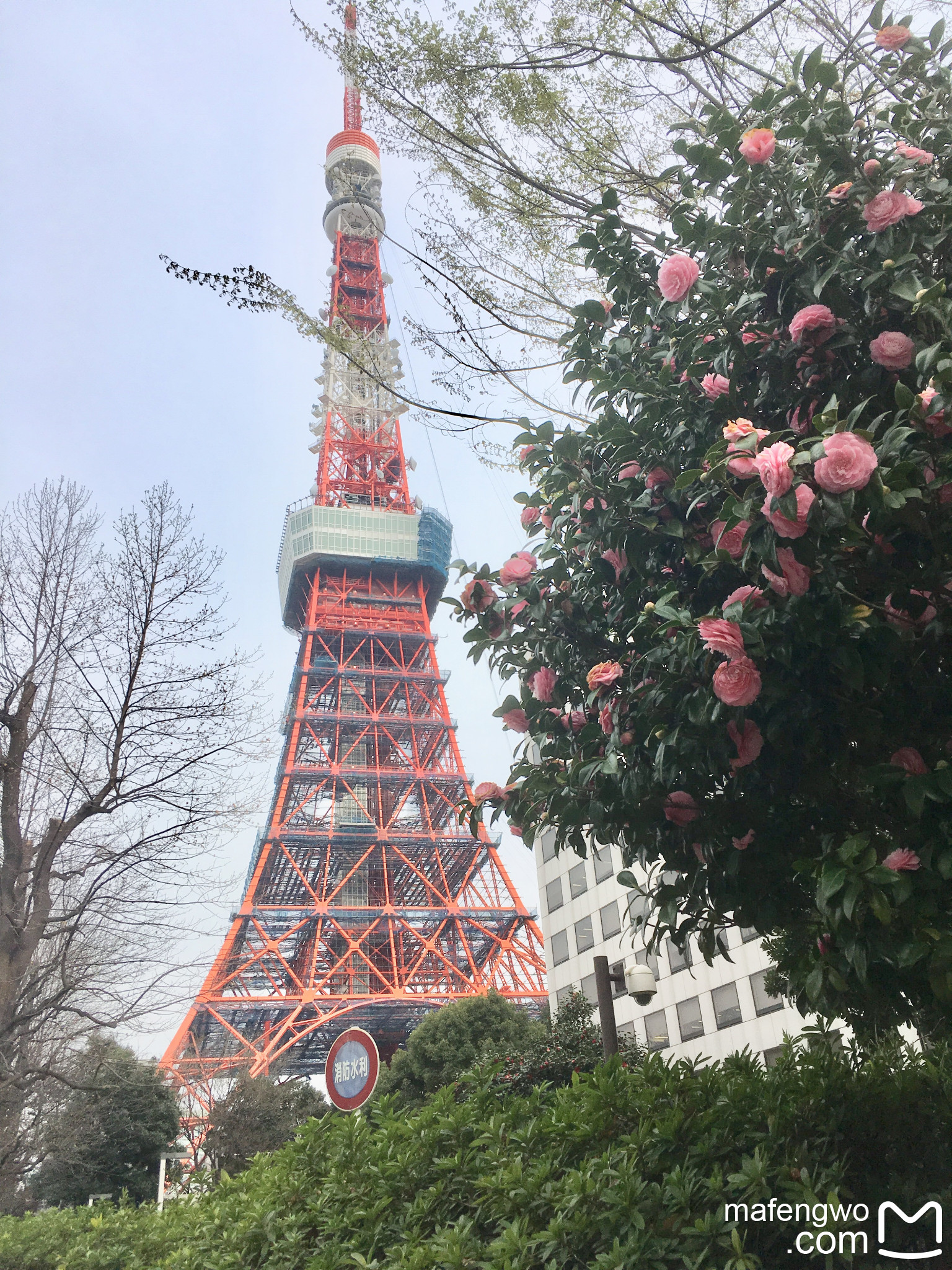 東京自助遊攻略