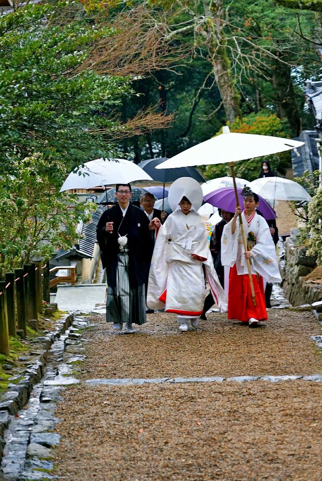 京都自助遊攻略