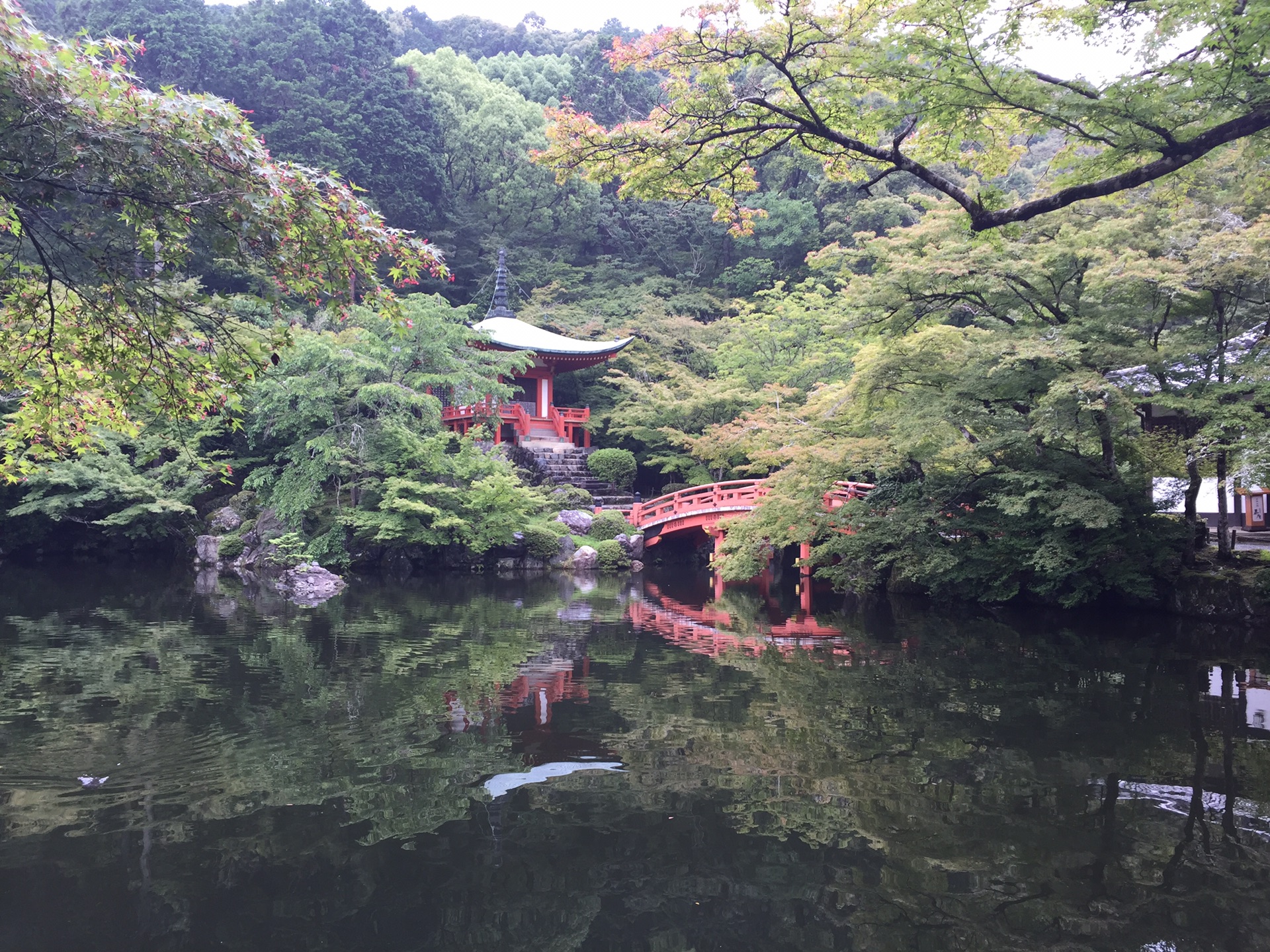 京都自助遊攻略