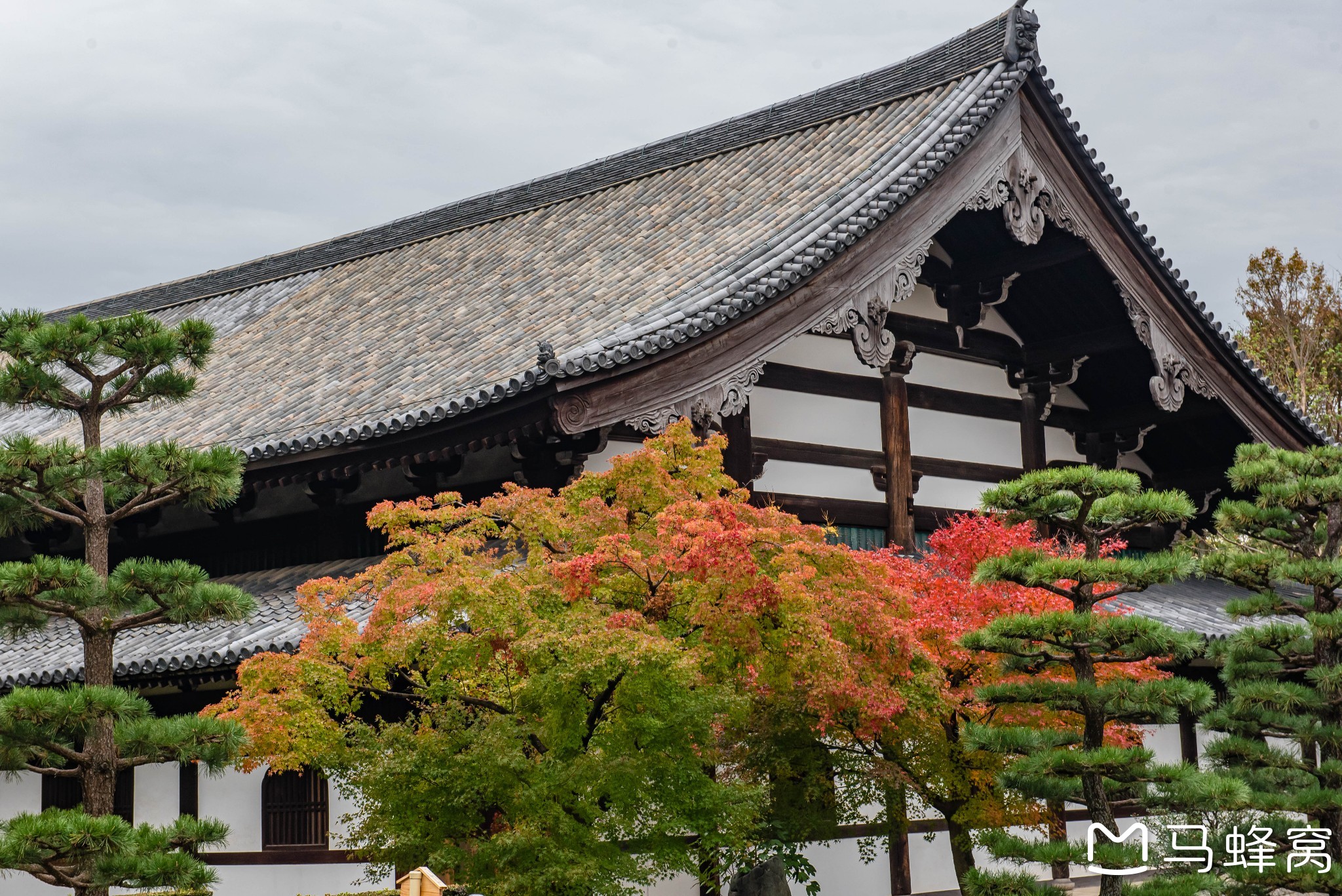 京都自助遊攻略