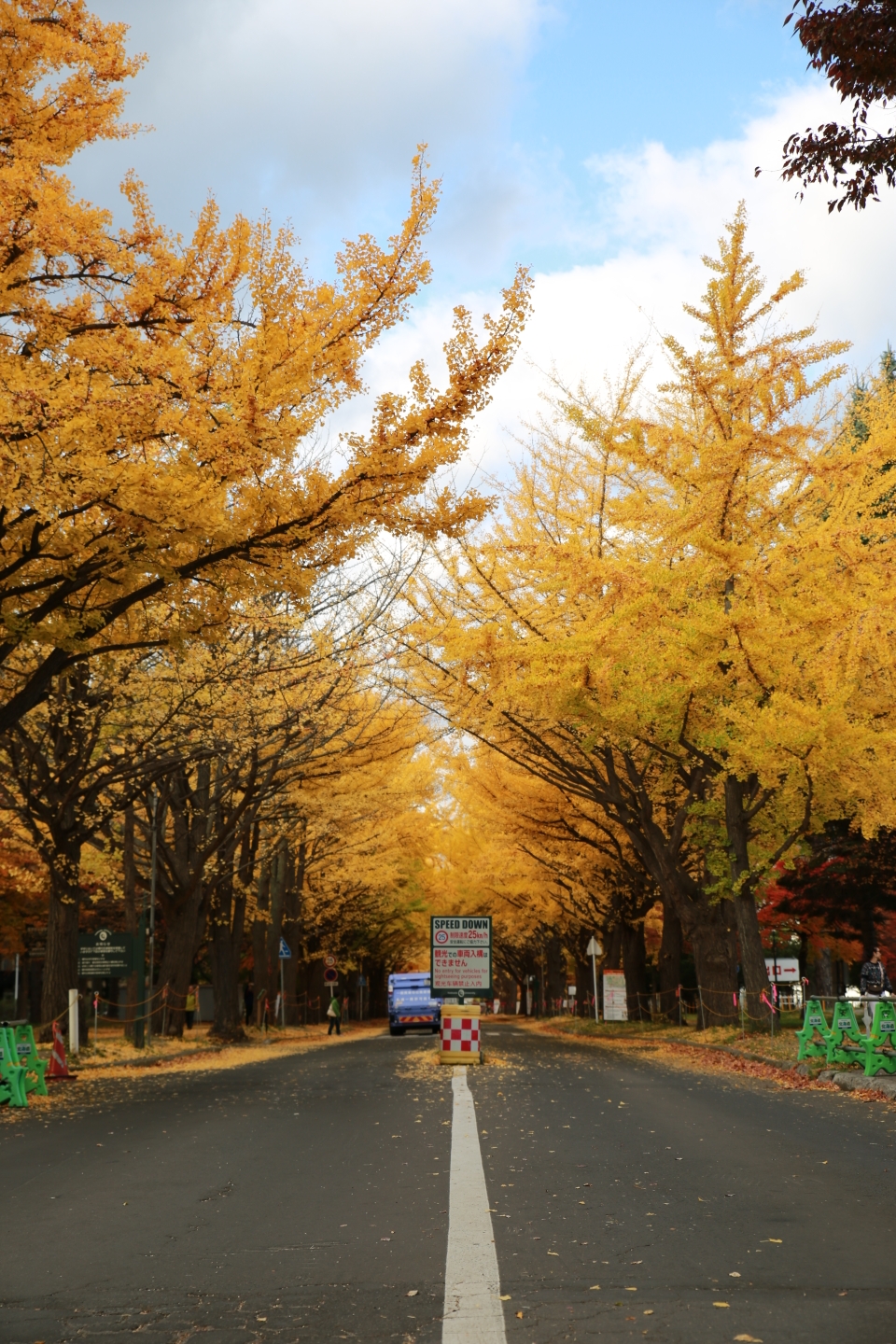 北海道自助遊攻略