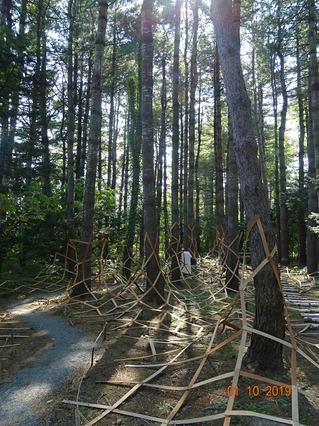 北海道自助遊攻略