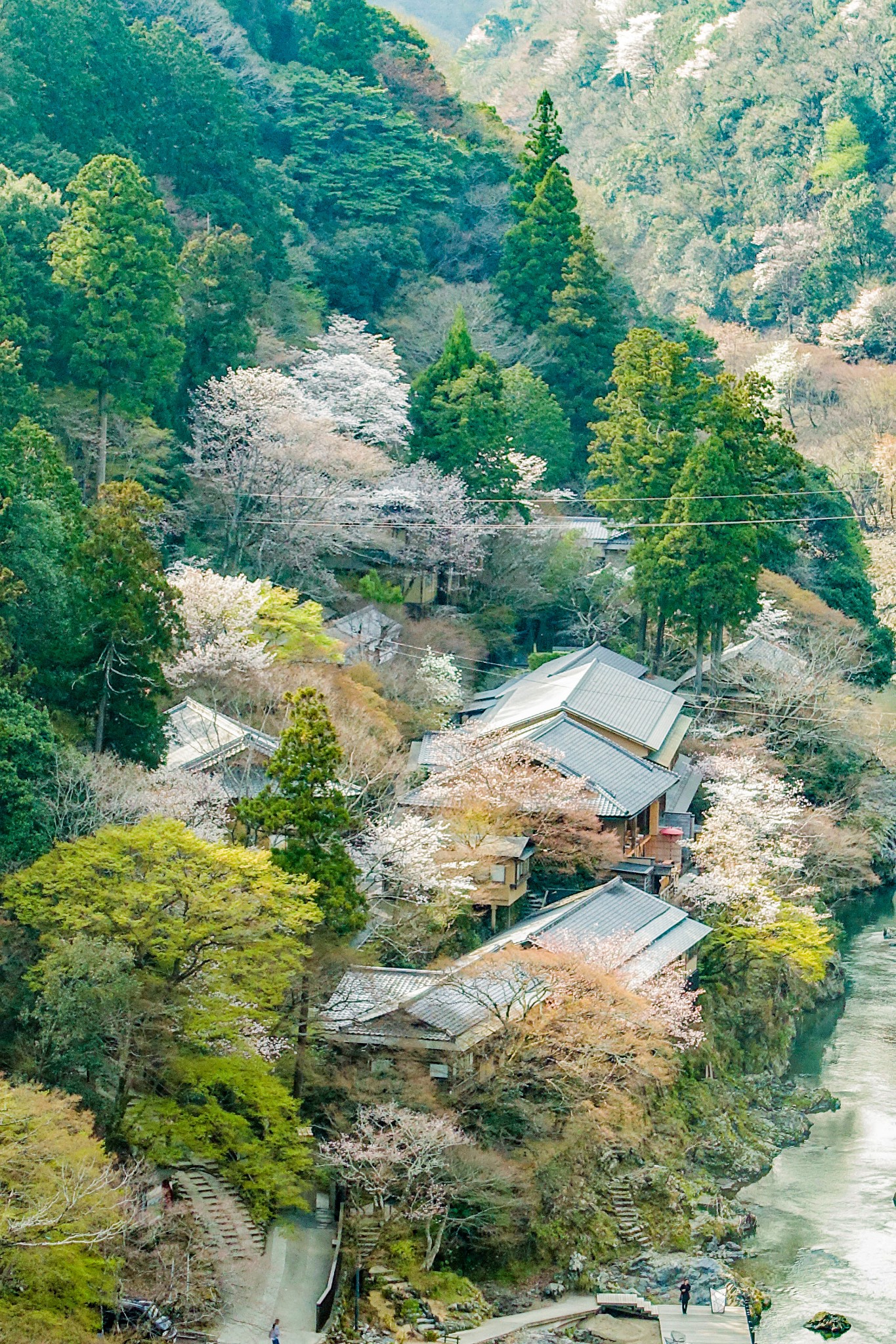 京都自助遊攻略