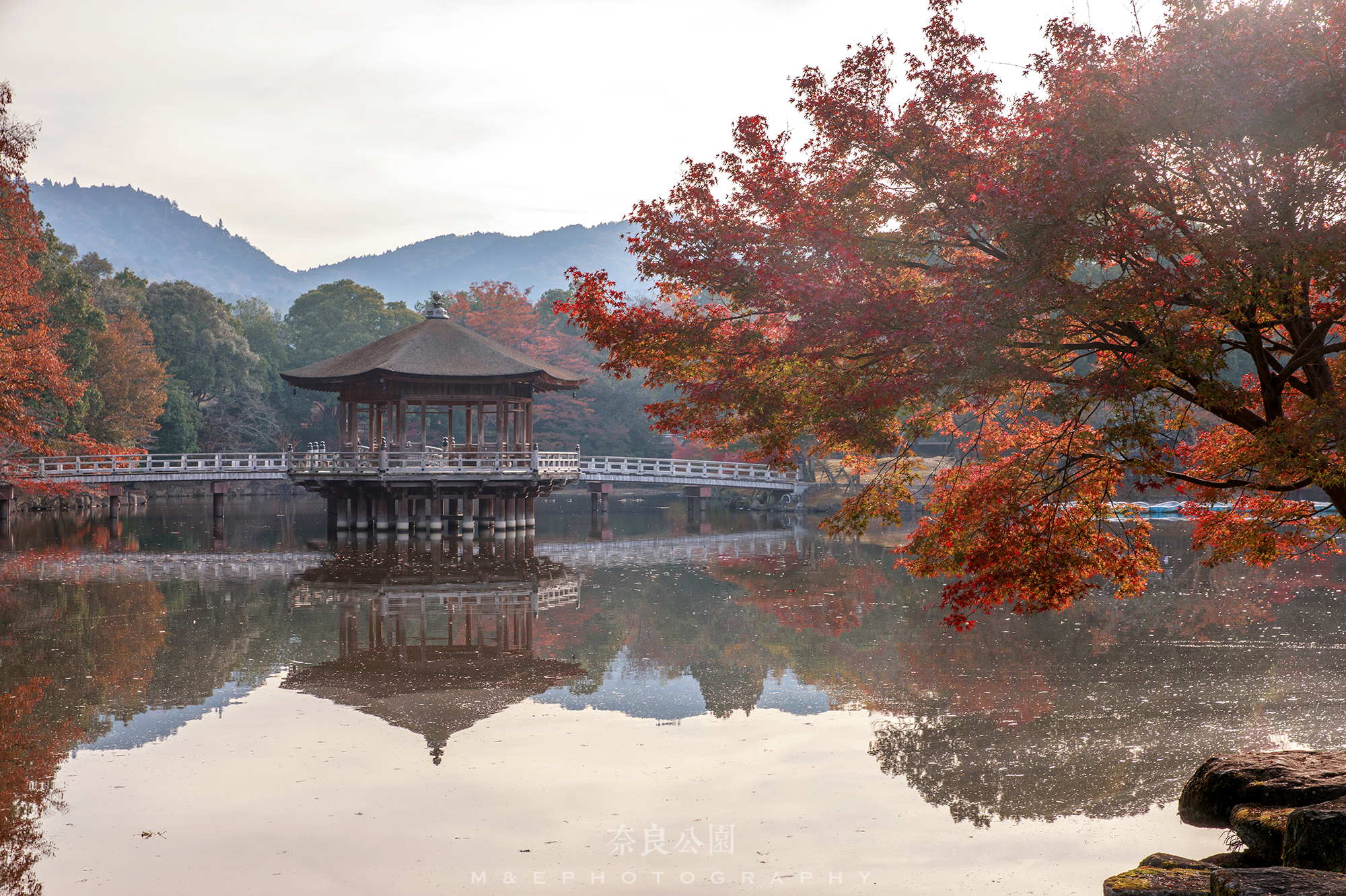 京都自助遊攻略