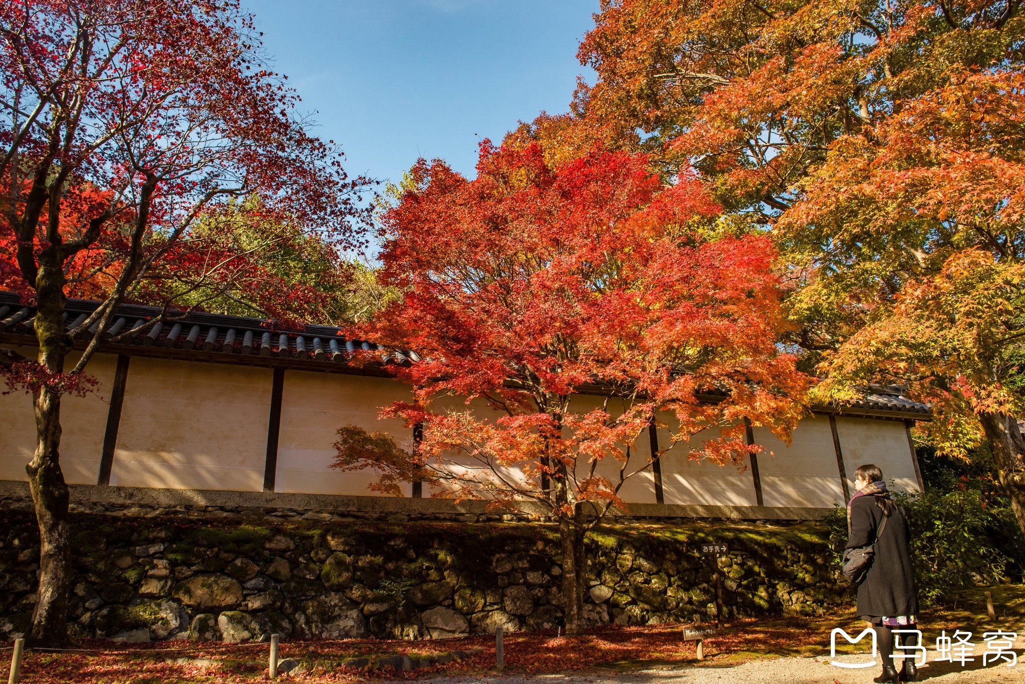 京都自助遊攻略