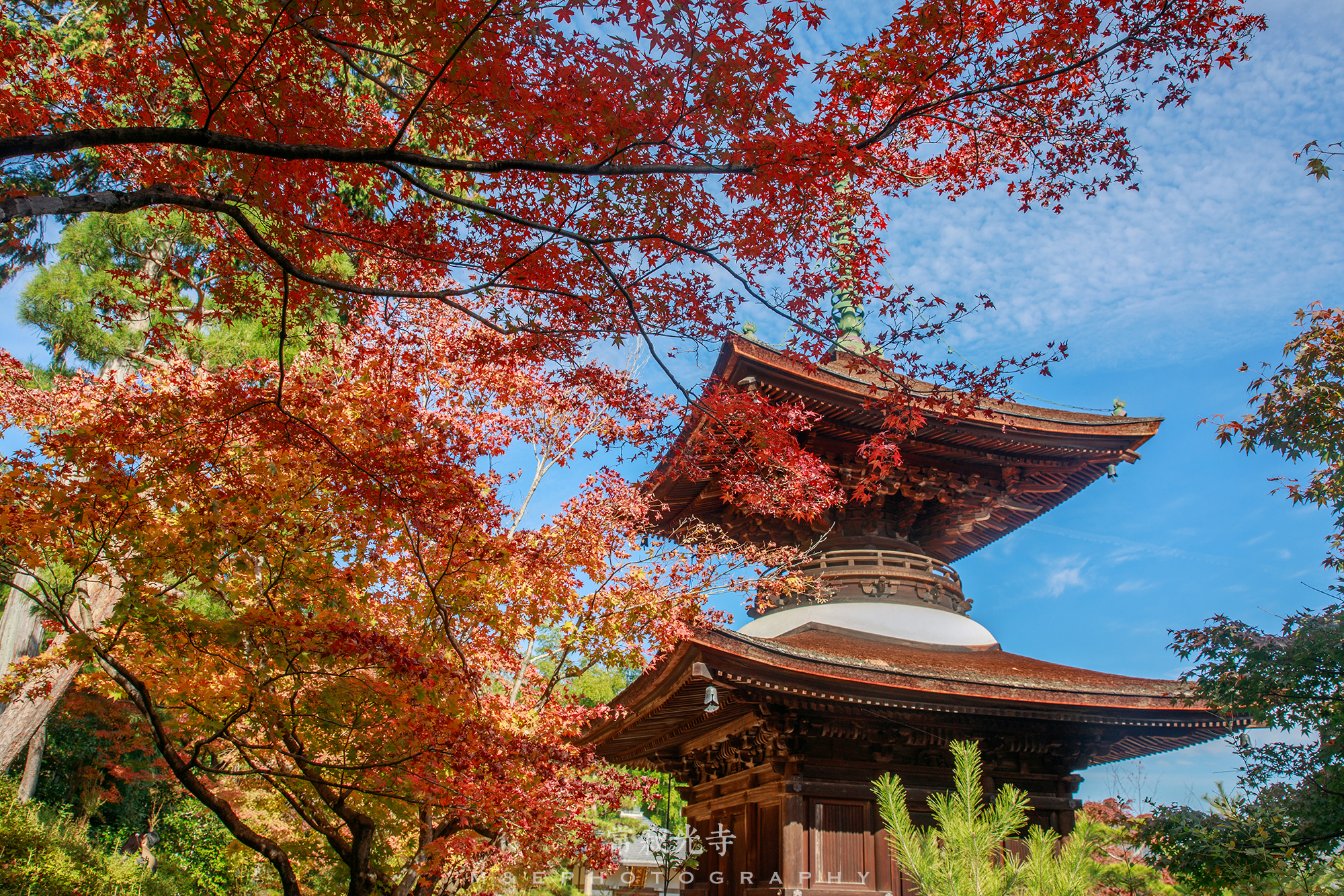 京都自助遊攻略