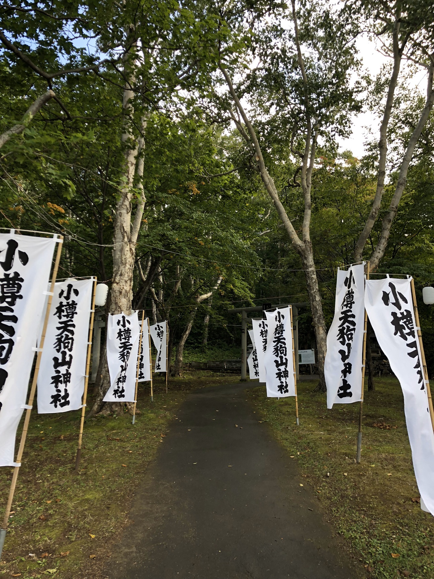 北海道自助遊攻略