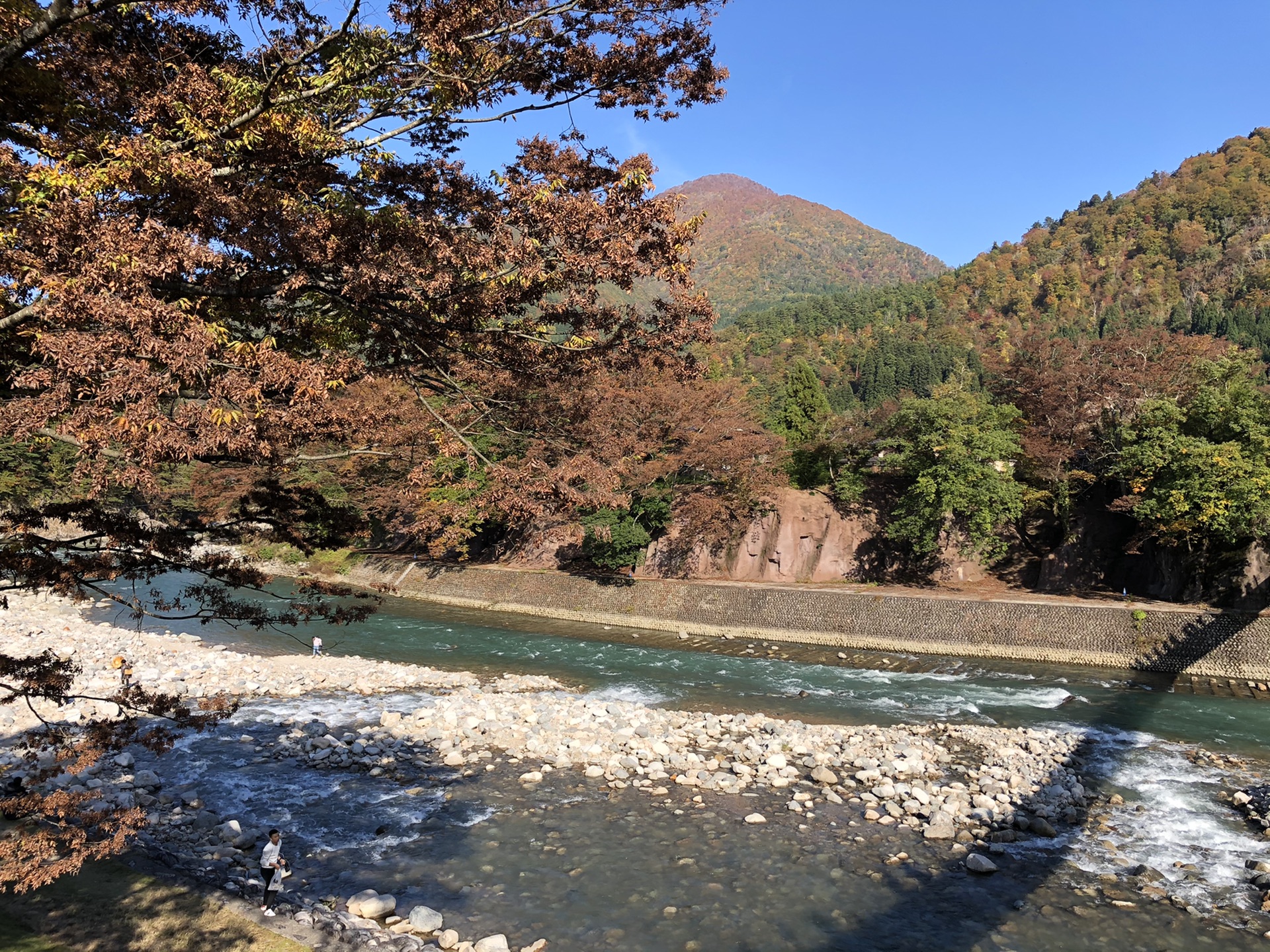 名古屋自助遊攻略