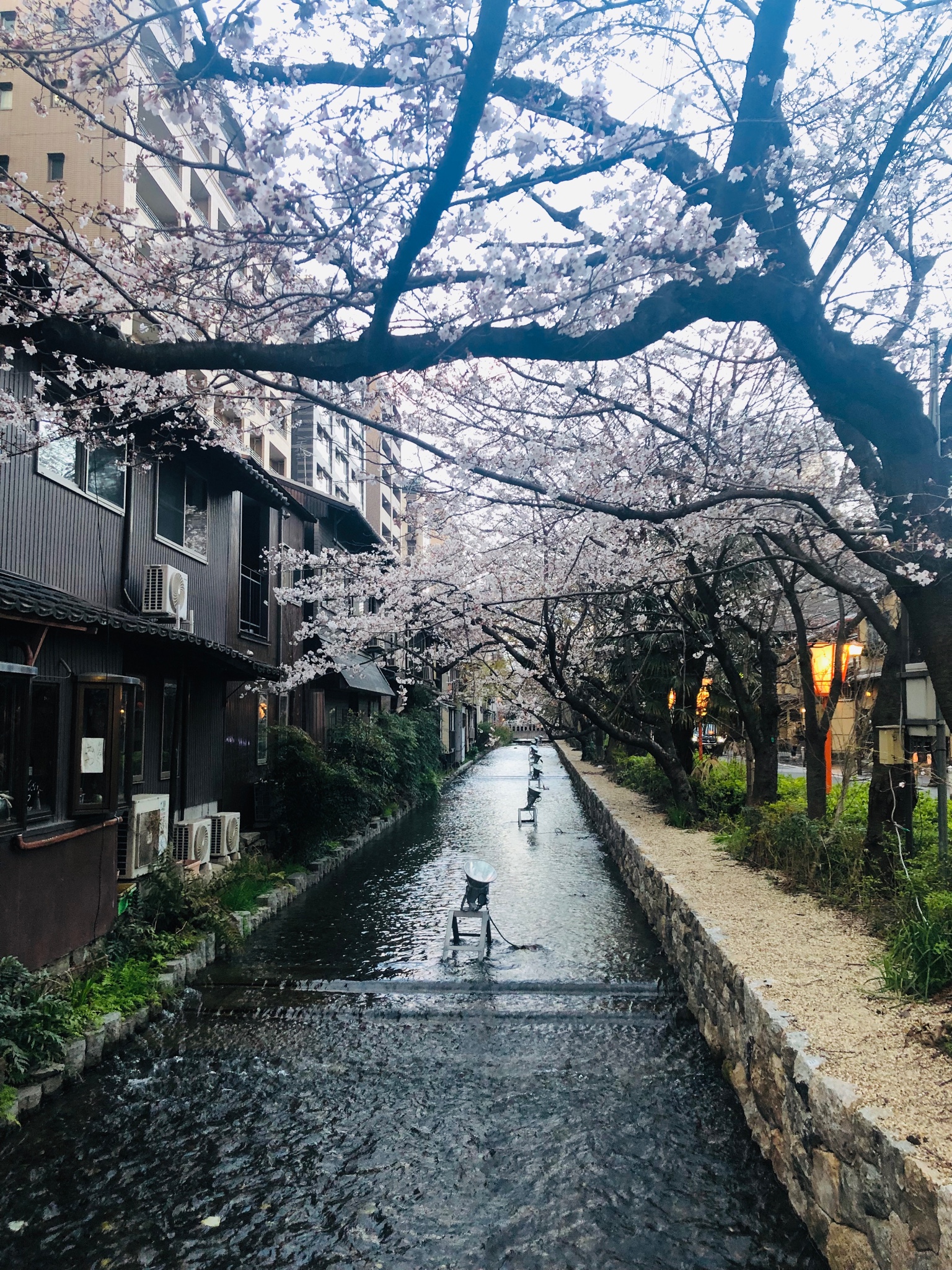 日本自助遊攻略