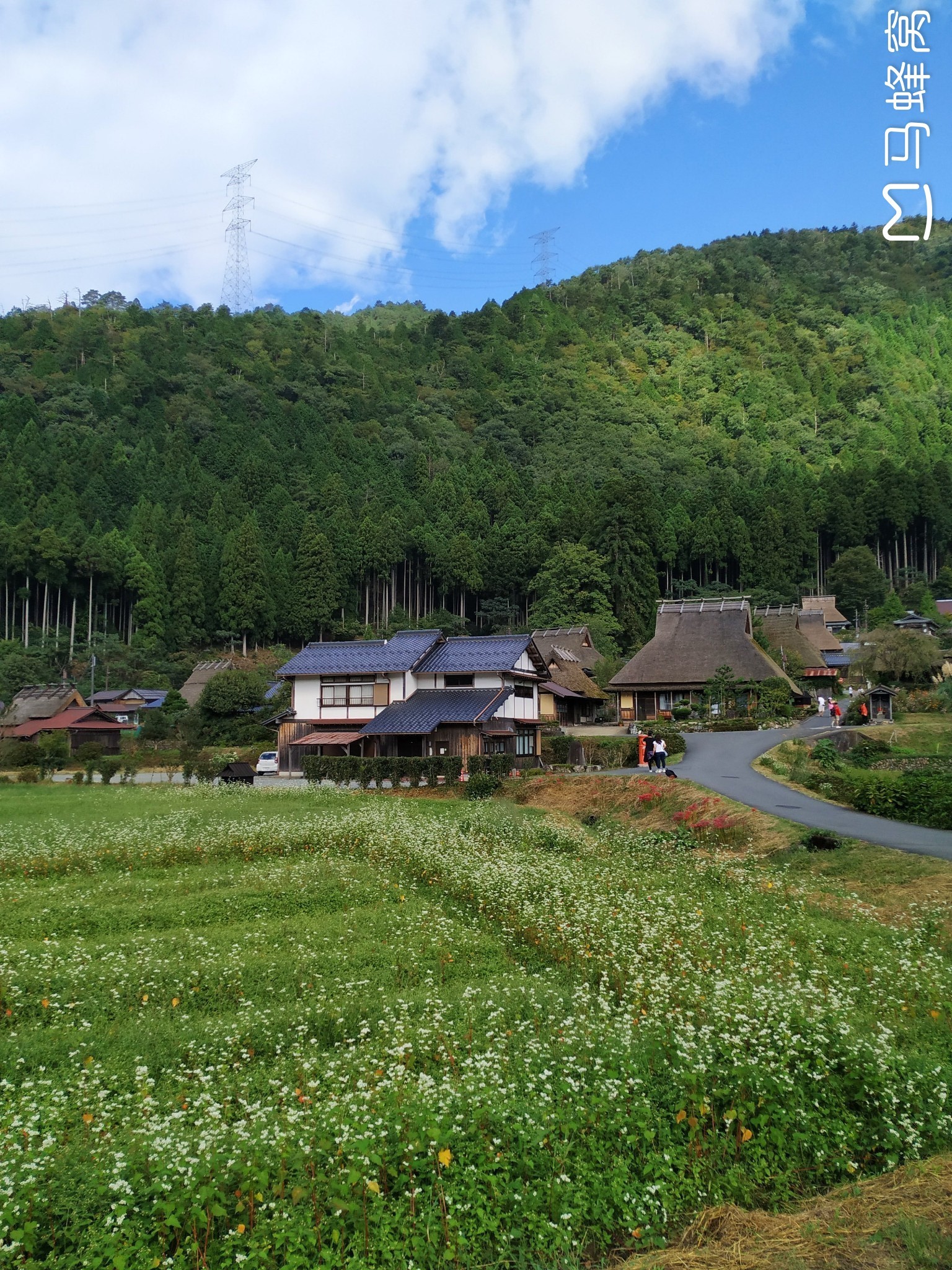 京都自助遊攻略