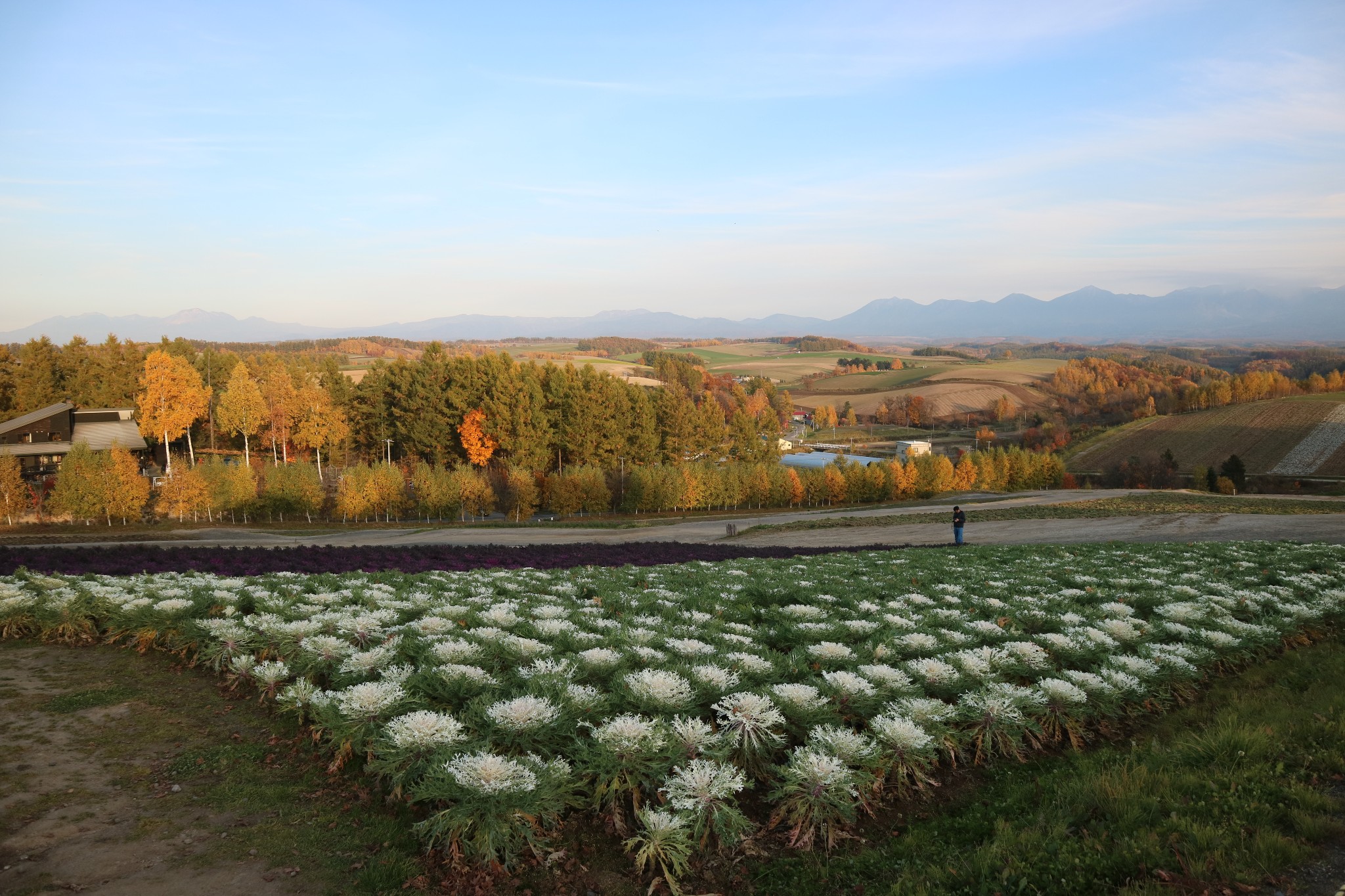 北海道自助遊攻略