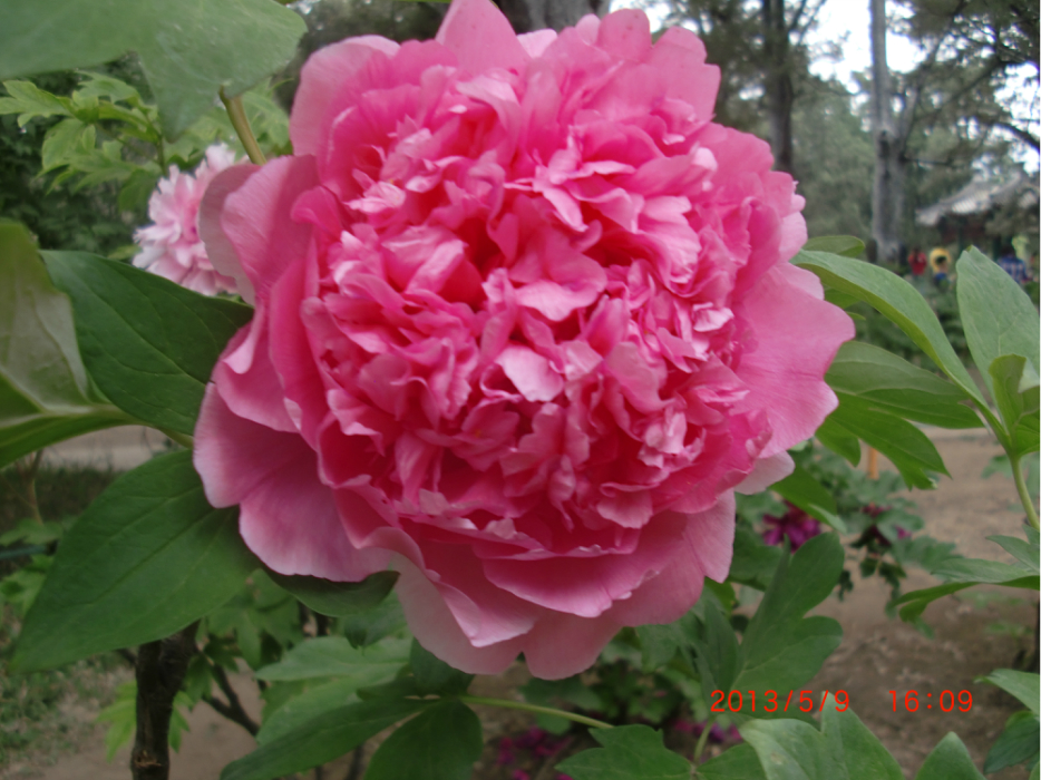 wKgB3FGLoxWAb0P1AAloyZdHC5g16.jpeg?imageView2%2F2%2Fw%2F600%2Fq%2F90