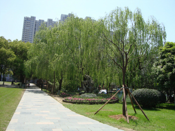 公园的游玩攻略,公园作文400字