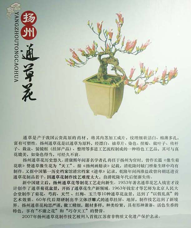 【原创】名家风采录(3)——通草花大师戴春富(组图)