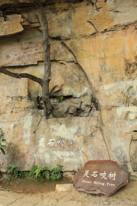 鱼虎云一猜一成语大全_一图一成语猜答案大全