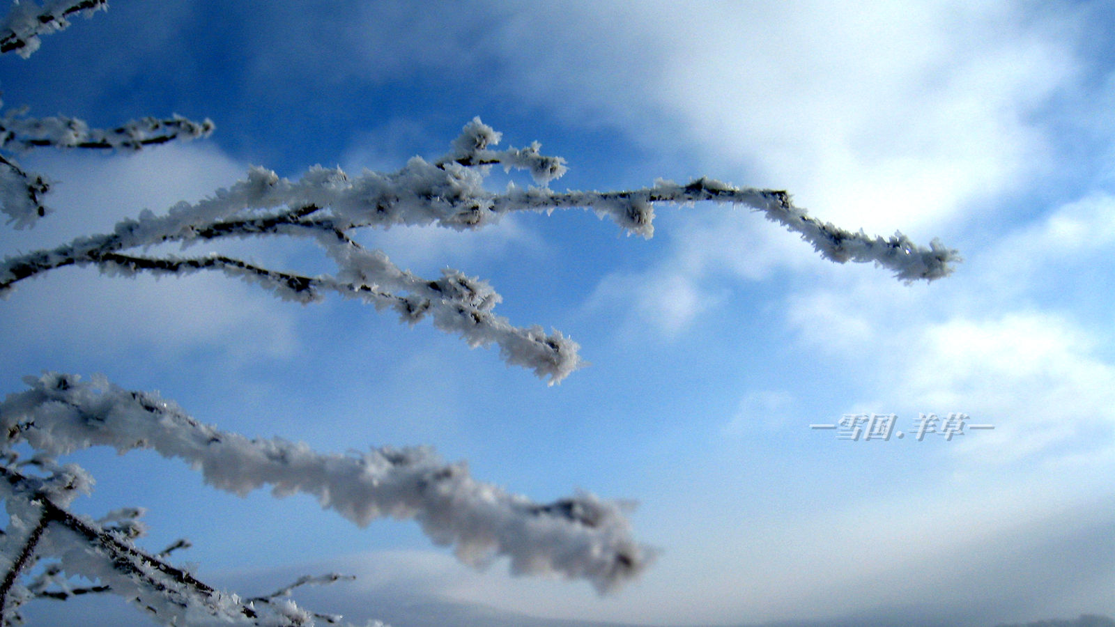 雪鄉自助遊攻略