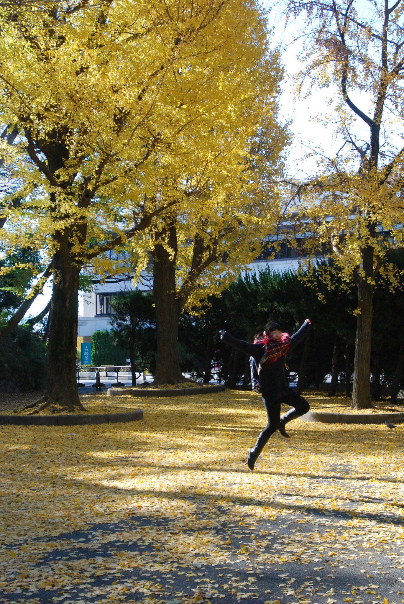 東京自助遊攻略