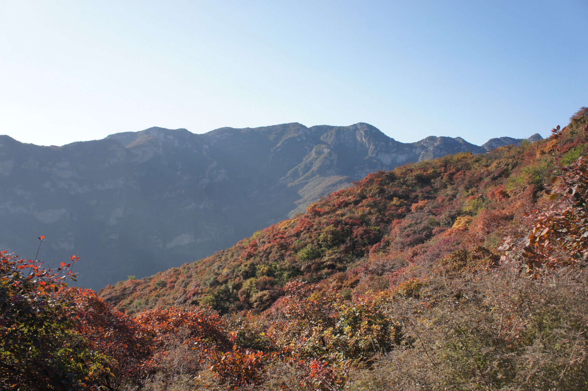 wKgB4lJocwCAKAV_AA1NgCJWqxc80.jpeg?imageView2%2F2%2Fw%2F600%2Fq%2F90