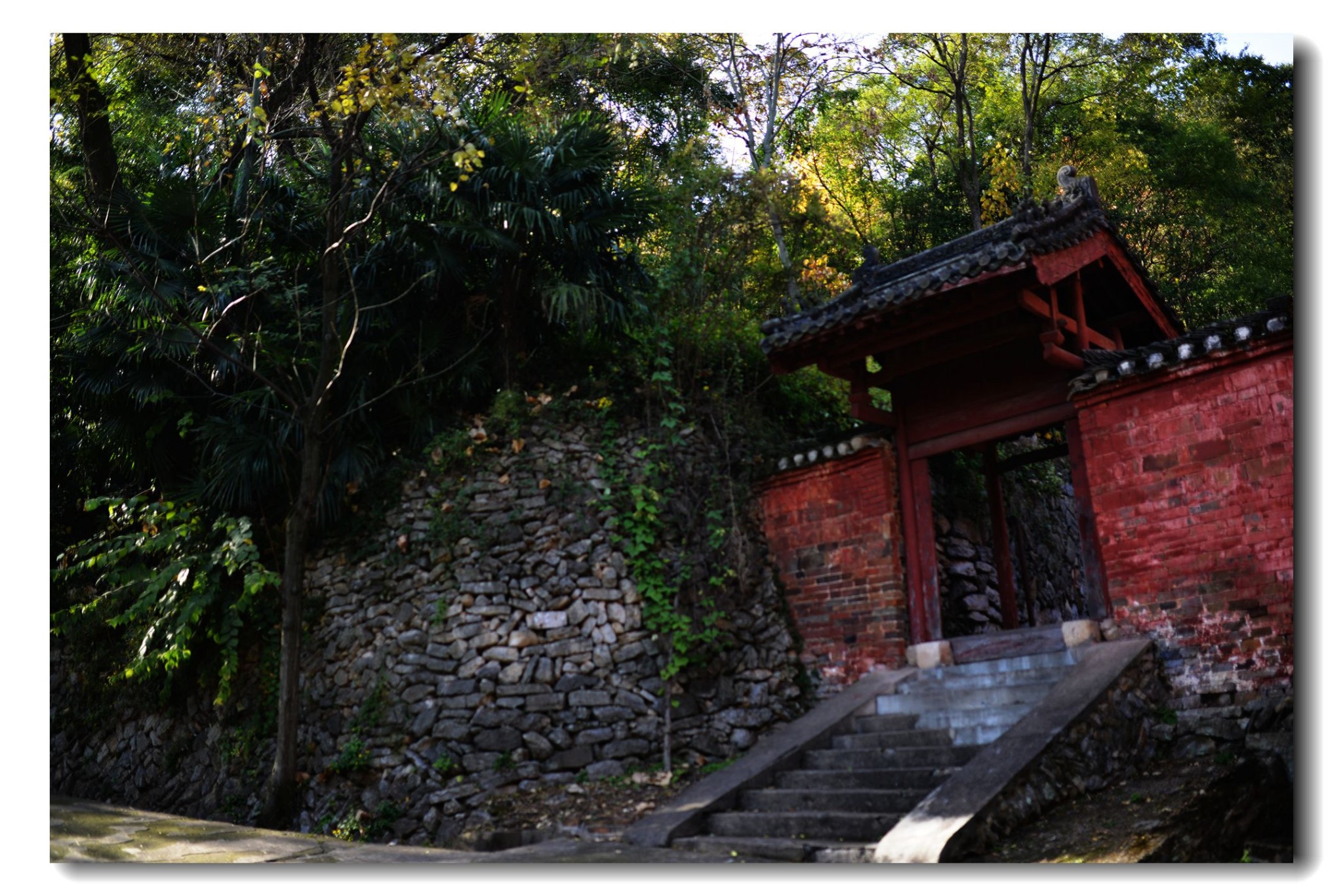 茨河承恩寺图片