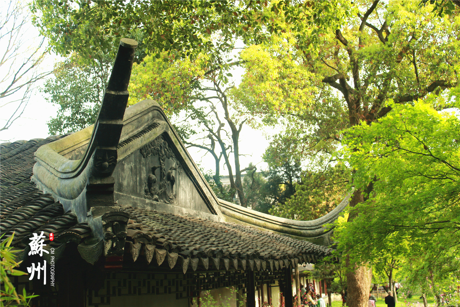 杭州唐西人口(3)