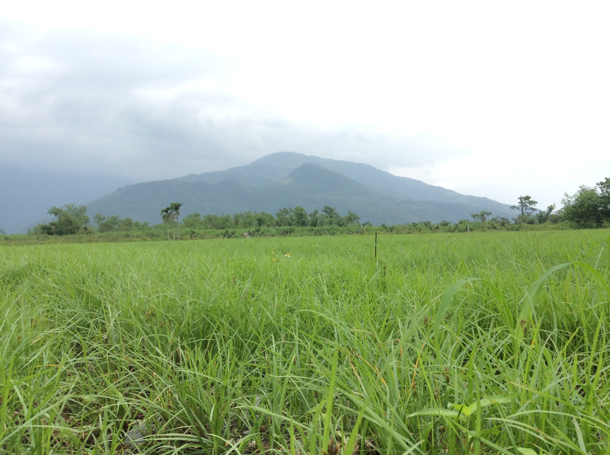 wKgB6lTQSeqADizCABjd-FINJms80.jpeg?imageView2%2F2%2Fw%2F600%2Fq%2F90