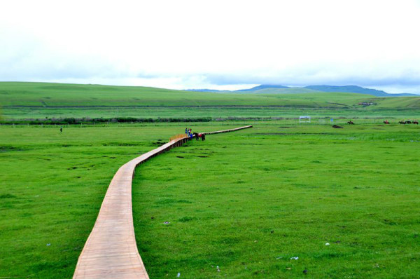 父亲的草原母亲的河原创是谁 wKgB6lPxWJyARwJNAAJMMssO4GU13.jpeg?imageView2%2F2%2Fw%2F600%2Fq%2F90