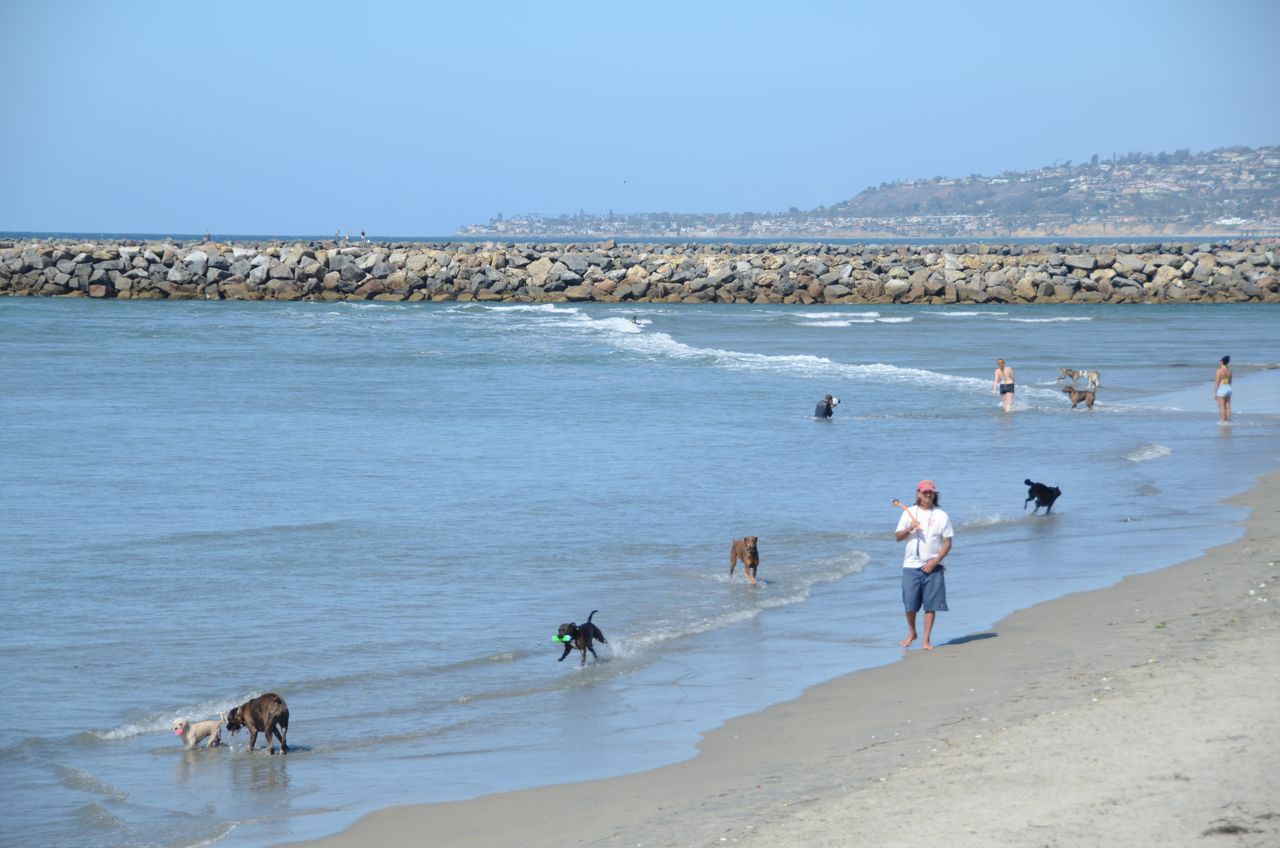 wKgB6lRLF9WAaWxxAAIOqN7XHEE98.jpeg?imageView2%2F2%2Fw%2F600%2Fq%2F90