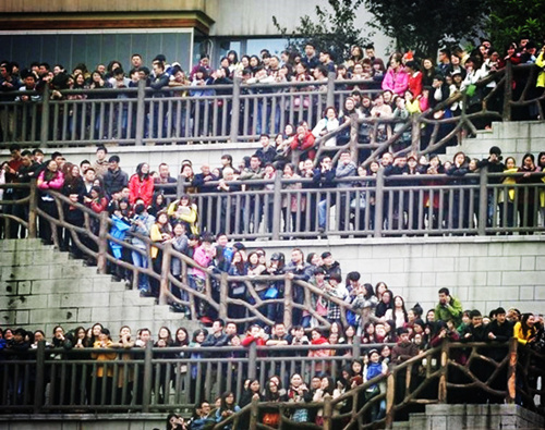 两张图,告诉你重庆人有多热情