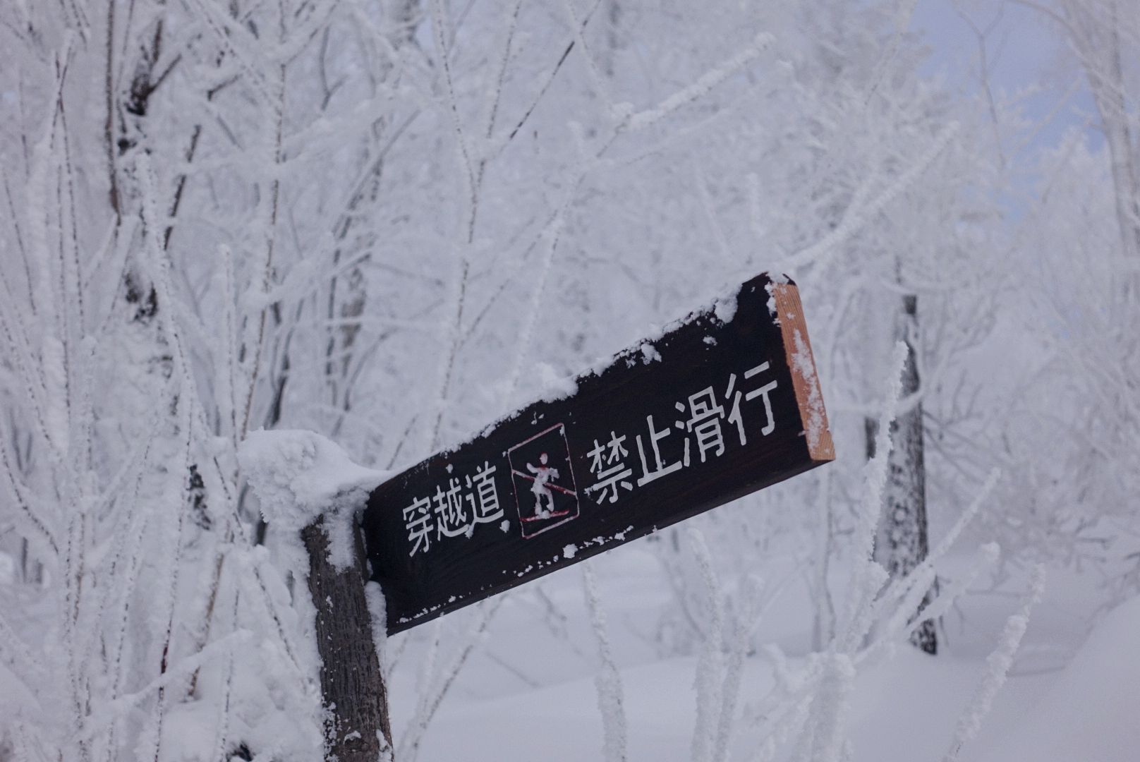 東北自助遊攻略