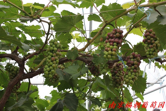 wKgBpVWc0YGAPTcJAAPEKMitPdU10.jpeg?imageView2%2F2%2Fw%2F680%2Fq%2F90%7CimageMogr2%2Fstrip%2Fquality%2F90