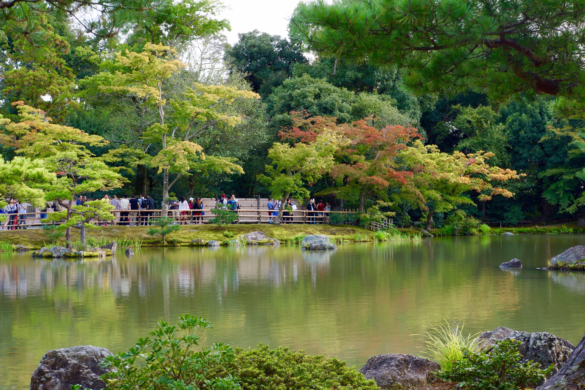 京都自助遊攻略