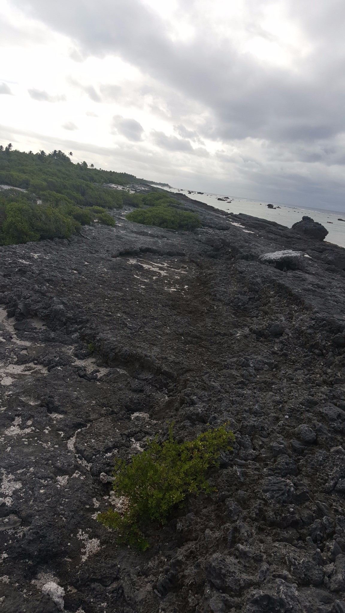 大溪地自助遊攻略