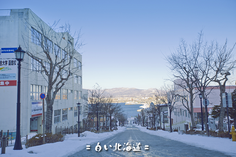 北海道自助遊攻略