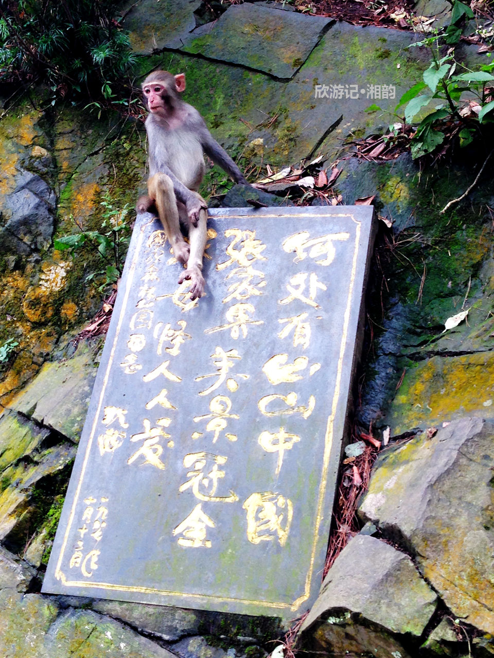 鳳凰古鎮自助遊攻略