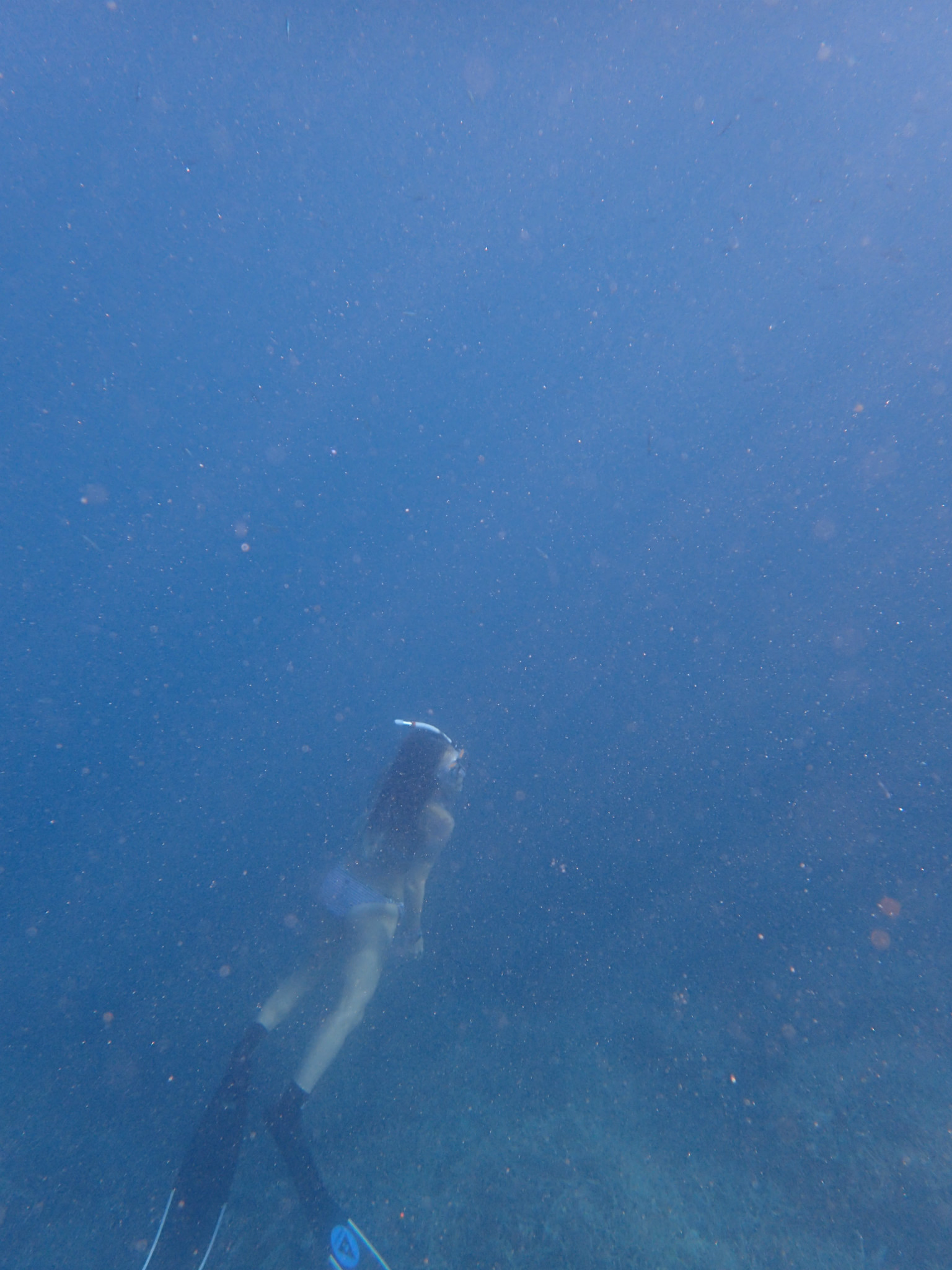 帕劳有多少人口_为什么帕劳是2015最美的海岛旅游地(2)