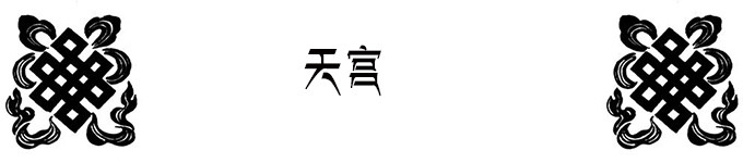 夜晚的布达拉宫 夜晚的布达拉宫