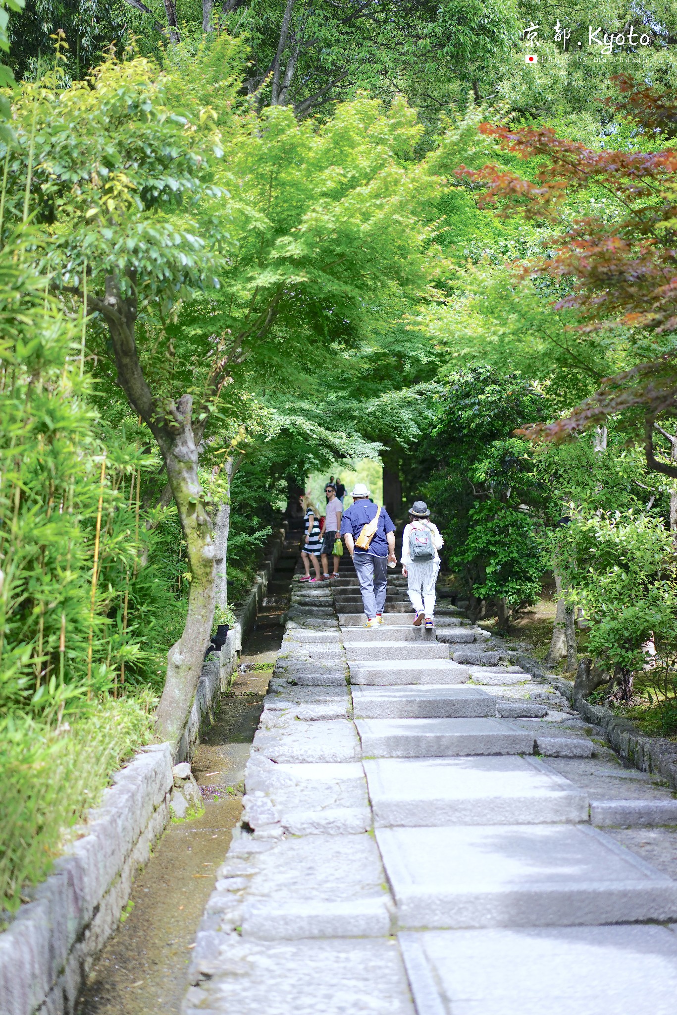 京都自助遊攻略